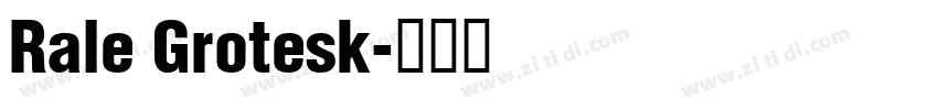 Rale Grotesk字体转换